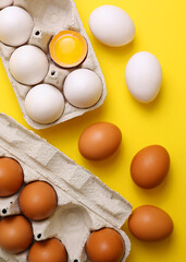 fresh farm chicken eggs on a colored background. Vertical photo format