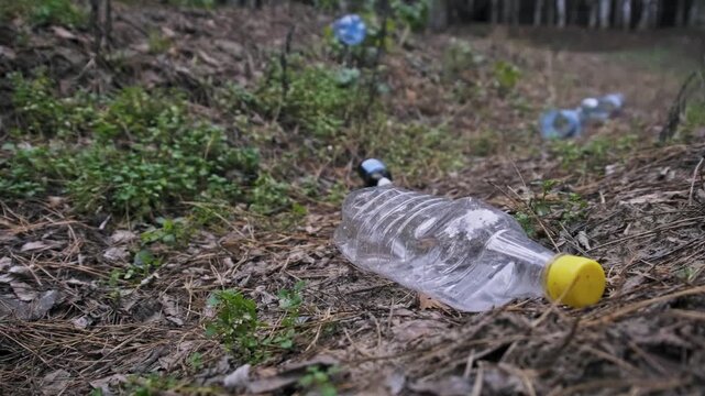 A clear plastic bottle with a yellow cap lies discarded on the forest floor among pine needles. The scene highlights environmental pollution caused by non-biodegradable waste in nature.