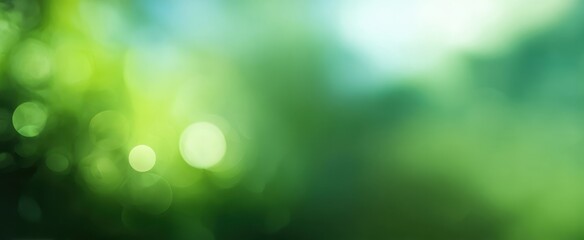 The Green Bokeh Abstract Nature Background with Soft Light and Blurred Leaves