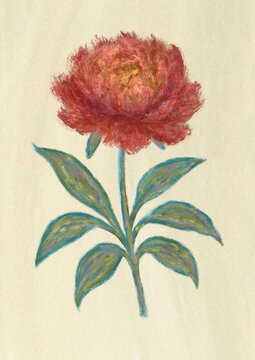 impressionism peonie 