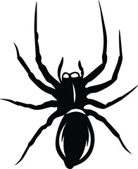 spider