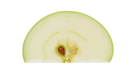 Close-up cross-section of a green tech company showing seeds and flesh detail