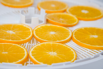 Close up of orange slices in a white plastic tray for drying.