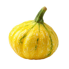 Yellow and green patterned small pumpkin