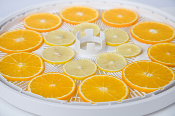 Close up of orange and lemon slices in a white plastic tray for drying.