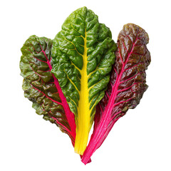 Colorful beet greens, vibrant leaves