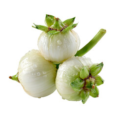 Close-up of three clustered, white, round fruits with green tops and water droplets
