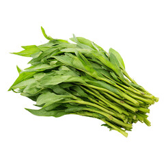 Fresh green leafy vegetable bunch (20)