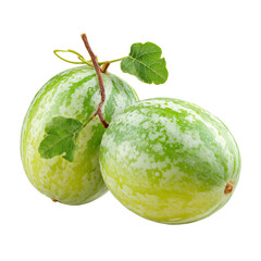 Two speckled, green-yellow melons, leaves attached