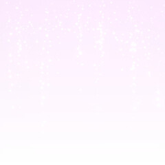 PNG overlay of pink festive lights on transparent background