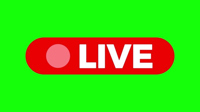 4k simple live streaming icon animation with transparent background, green screen, white background, Animated red button live streaming.