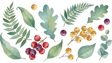 Watercolor illustration set of various green leaves and colorful berries, depicting a botanical collection. © Bushcraft