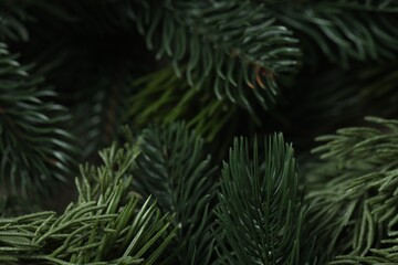 Beautiful artificial Christmas tree branches as background, closeup