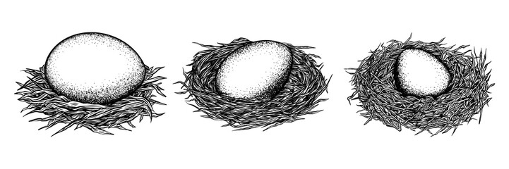 Set of a nest of straw with an egg. Vector black ink isolated illustration in sketch line style