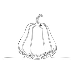 Minimalist continuous line art drawing of a single pumpkin, perfect for autumn harvest and Halloween designs