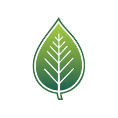 Fresh vibrant green leaf illustration with white outline and prominent veins representing nature