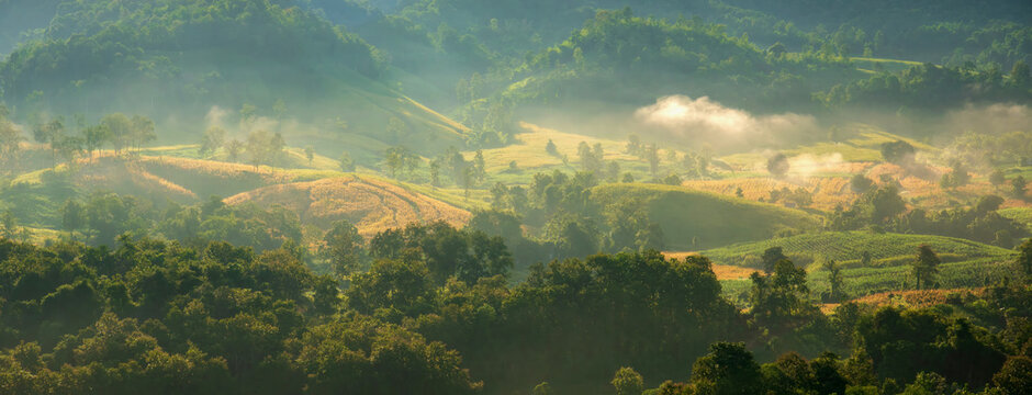 Banner Beautiful Mountain landscape foggy mountain green landscape morning sunrise. Amazing Landscape mountain green tropical forest tree on sunrise. Banner forest sunlight scenery with copy space