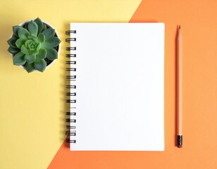 Succulent, notepad, pencil on split yellow/orange backdrop
