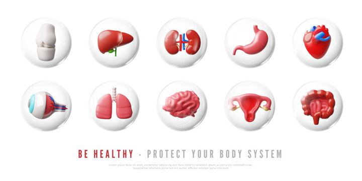 Be healthy protect your body system 3D vector banner, heart, bones, lungs, gut, stomach, brain and uterus internal organ