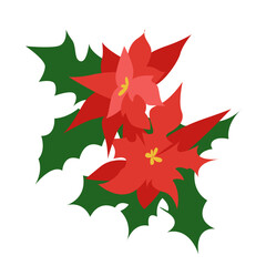 Traditional Christmas Design. Poinsettia Flower Isolated on White Background. Flat Vector Illustration.