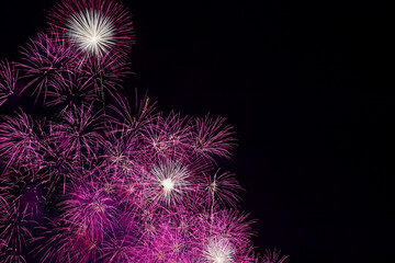 長野えびす講花火大会の美しく放物線を描く花火