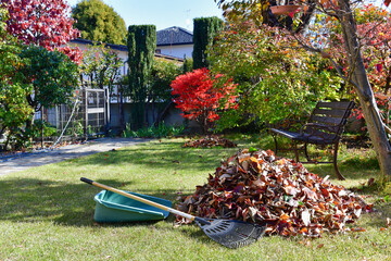自宅庭の落ち葉掃除