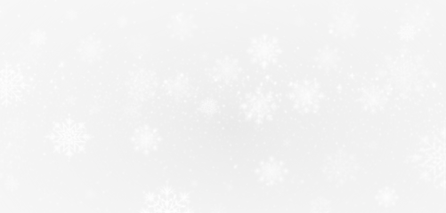 PNG Overlay with White Snowflakes on Transparent Background