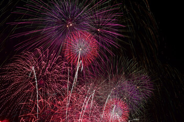 長野えびす講花火大会の美しく放物線を描く花火