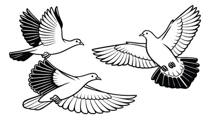 Fototapeta premium Flying Doves Line Art Illustration