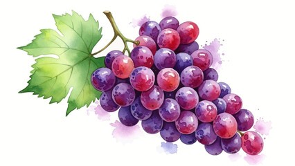 Artistic watercolor rendering of ripe purple grapes, depicting a healthy and refreshing fruit, perfect for culinary and natural designs