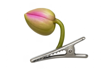 Flower bud growing from metal alligator clip