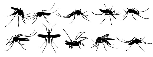 Illlustration mosquitos silhouettes set vector
