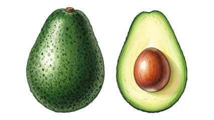 A detailed illustration of a whole avocado next to a sliced half showing the large brown seed, isolated on white