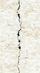 Fototapeta premium Detailed Close-Up of a Cracked White Wall Surface