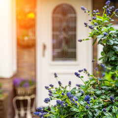 Typical dutch door. Dutch holland architectural detail, a door in Netherlands city. Dutch door