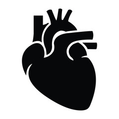 Human Heart Silhouette Icon &ndash; Anatomical Organ Medical Vector Illustration