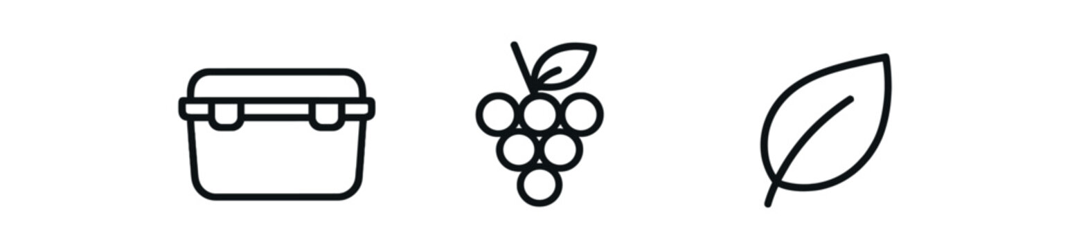 minimal icons reusable snack box black outline grape bunch icon black outline leaf icon black outline