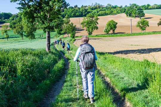 sur le chemin de Compostelle 