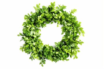 Fototapeta premium Lush Green Leaf Wreath Realistic Foliage Botanical Circle Spring Decor on transparent background