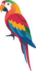 Stylized parrot vector with vibrant multicolor feathers and curved beak, ideal for tropical and exotic-themed designs.