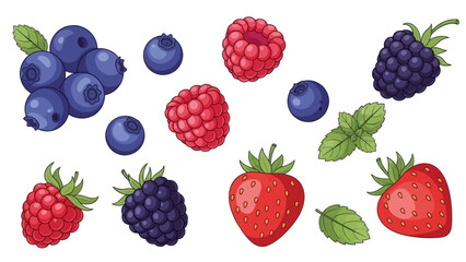 Delicious colorful berry assortment perfect for smoothie or dessert designs