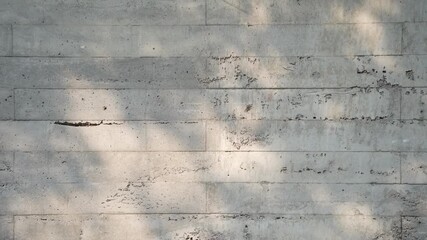 Abstract silhouette moving glare shadows of tree leaves reflection of sunlight on white wall. Transparent blurred bokeh of nature background round plants leaf. - Powered by Adobe