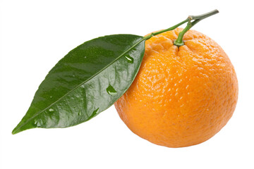 Whole mandarin orange with vibrant green leaf and delicate stem, naturally isolated on a pure white background, emphasizing healthy eating, natural organic produce and fresh fruit