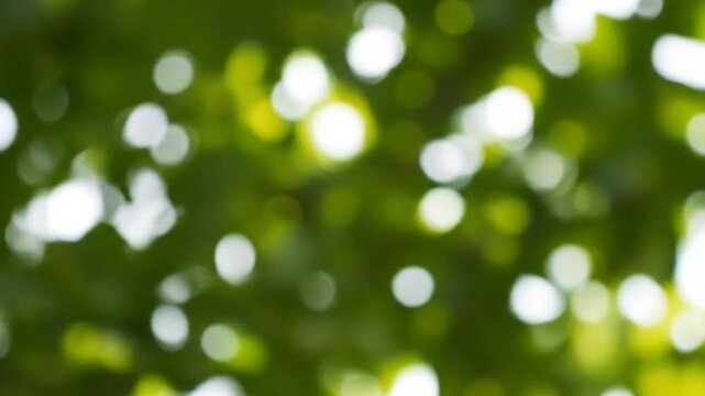Dreamy natural backdrop of shimmering sunlight filtering through lush green leaves, rendered in a beautiful out-of-focus style, creating a calming and ethereal organic pattern