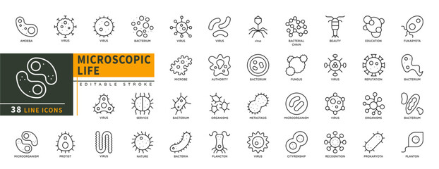 Minimalist Microscopic Life line icons set with editable stroke, featuring amoeba, virus, bacterium, protist, microorganism. fukaryota, planton, recognition, fungus, authori. thin linear illustration.
