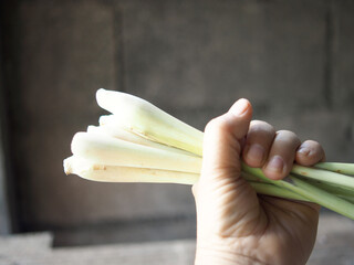 lemongrass fresh on old wood table relax and aroma