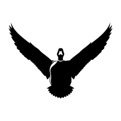 A black silhouette of a goose with wings spread wide against white sky © Alo