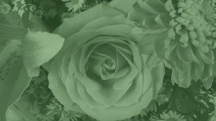 Monochromatic green color with rose flower shapes and texture. Abstract floral background