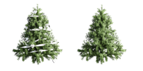 3d render Set of Two Christmas Trees: Decorated with White Ribbons and Undecorated, Isolated on White
