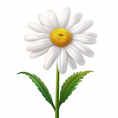 Fototapeta premium A vibrant daisy flower with white petals and a yellow center, surrounded by green leaves.